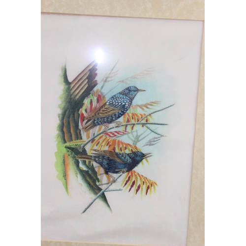 464 - A set of 4 vintage paintings on silk, all depicting British birds, all unsigned, excellent quality