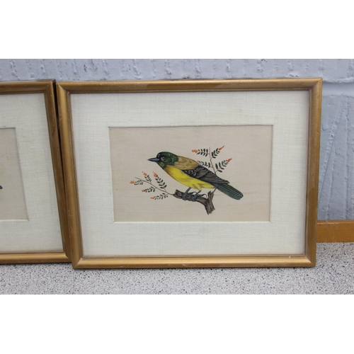 469 - 4 Indian Mughal style watercolours of birds, all with Bombay framing labels verso