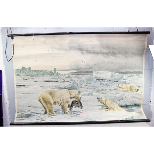 436 - Large German wall-hanging poster depicting polar bears hunting by Rich Friese