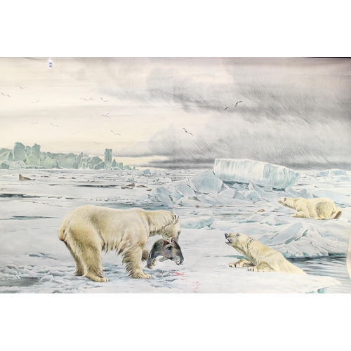 436 - Large German wall-hanging poster depicting polar bears hunting by Rich Friese