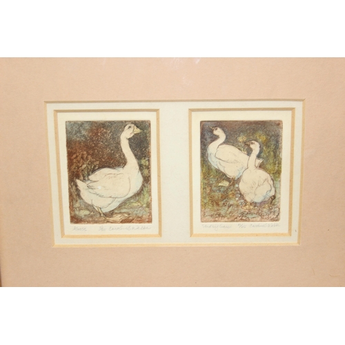 440 - Limited edition hand tinted print of geese signed and numbered by USA artist Caroline Garrett Webbe ... 