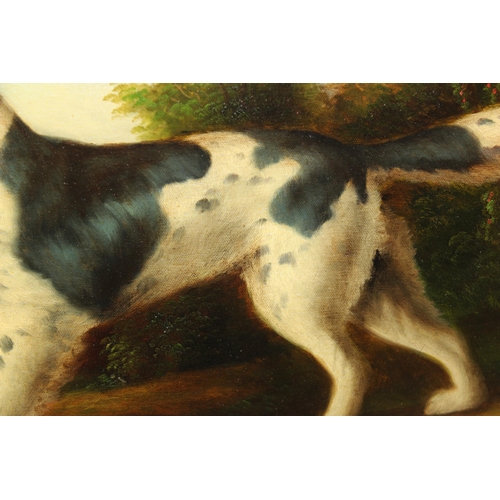 303 - A large antique style oil on canvas of a Long Haired Pointer dog in impressive gilt frame, unsigned