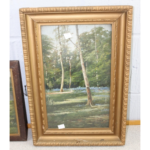 310 - W. Tafe (early XX), 2 oil on board paintings of Denham woods, framed and glazed