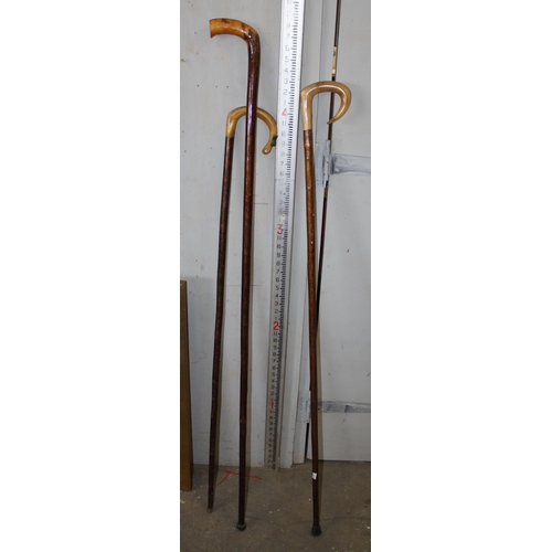 1631 - 6 walking sticks to include bone handled shepherd's crook x 2 and a gaff