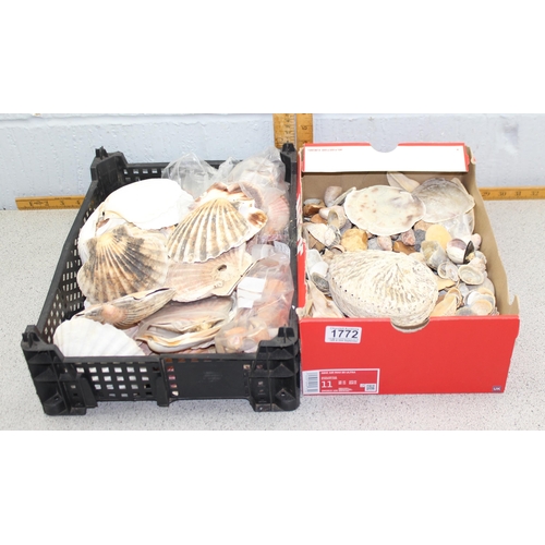 1772 - 2 boxes of assorted seashells