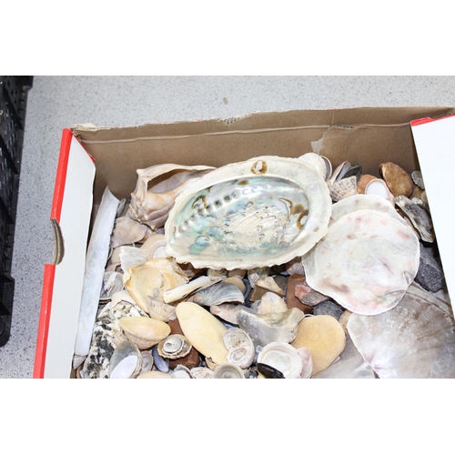 1772 - 2 boxes of assorted seashells