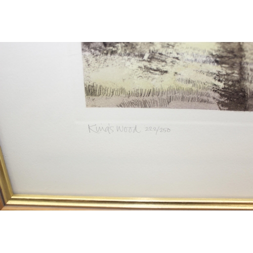 352 - 2 fine limited-edition landscape framed litho prints by artist Kathleen Caddick – titled, signed and... 