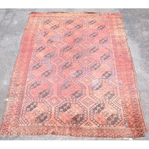 154 - A large red ground Afghan rug decorated with gul, approx 310cm x 220cm