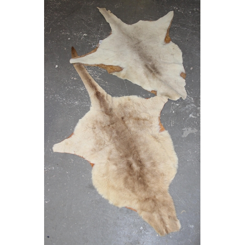 213 - 2 vintage animal hides, believed to be Kangaroo