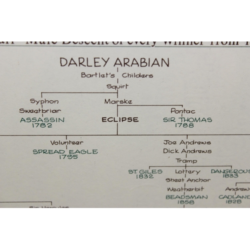 707 - Rare framed Derby Chart showing the blood line and names of The Derby Winners from 1780 to 1982 in f... 