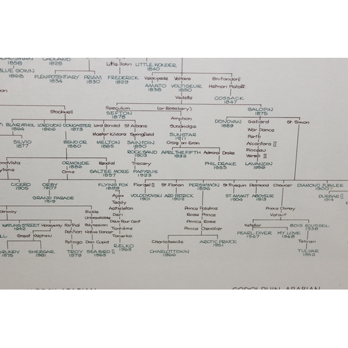 707 - Rare framed Derby Chart showing the blood line and names of The Derby Winners from 1780 to 1982 in f... 