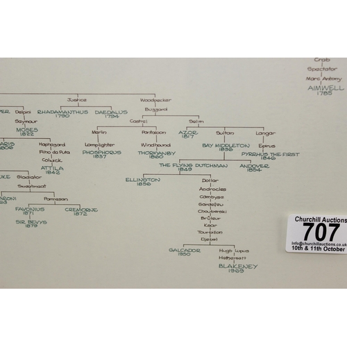 707 - Rare framed Derby Chart showing the blood line and names of The Derby Winners from 1780 to 1982 in f... 