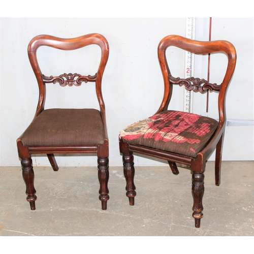 25 - A set of 6 19th century mahogany balloon backed dining chairs with carved details and stuffed seats