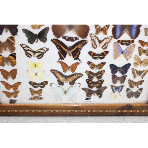 402 - Vintage display of taxidermy butterflies in marquetry frame