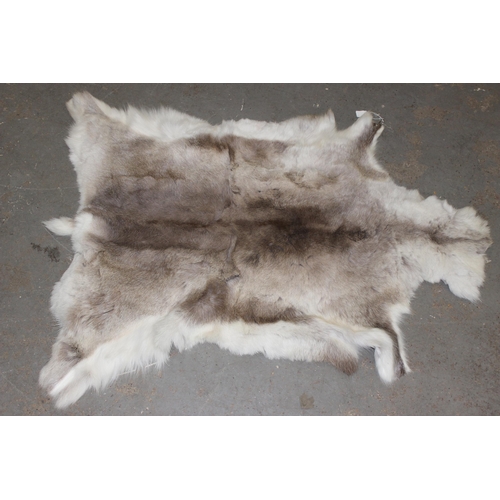 201 - Reindeer skin rug