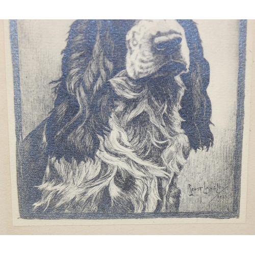 418 - Nina Scott Langley (1890-1964) etching of spaniel dated 1933, signed & dedicated to mount