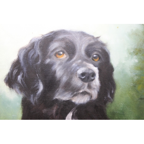 459 - Acrylic/ oil on canvas of a dog, signed Waters 2000