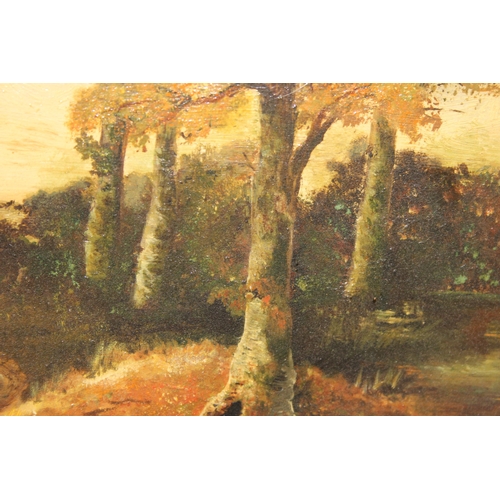 491 - Antique oil on board of an autumn forest in gilt frame, indistinctly signed lower right