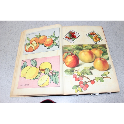 609 - 2 large vintage scrapbooks