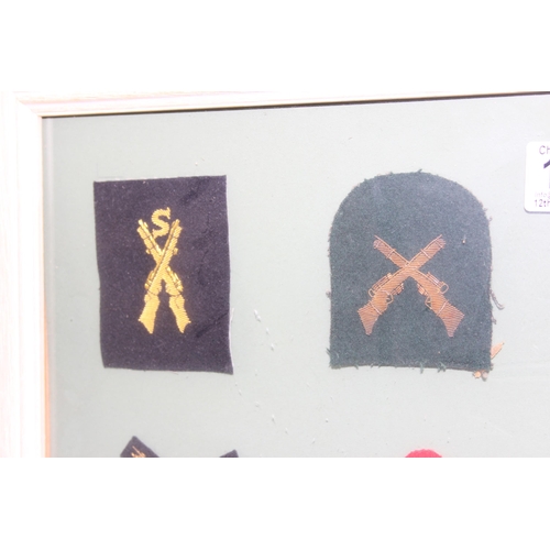 1405 - Glazed display of various shooting patches and badges etc, Small Arms School Sniper Proficiency etc