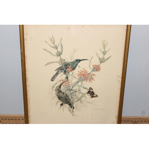 389 - A large qty of assorted antique and later prints, all bird related to inc examples after Dick Findla... 