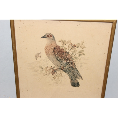 389 - A large qty of assorted antique and later prints, all bird related to inc examples after Dick Findla... 