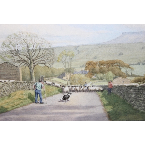 395 - Peter Thomas (XX), farmer driving sheep on the road near Semerwater, Wensleydale, signed and dated 1... 