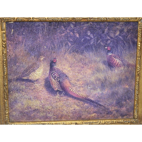 418 - An oleograph style print of pheasants in impressive gilt frame