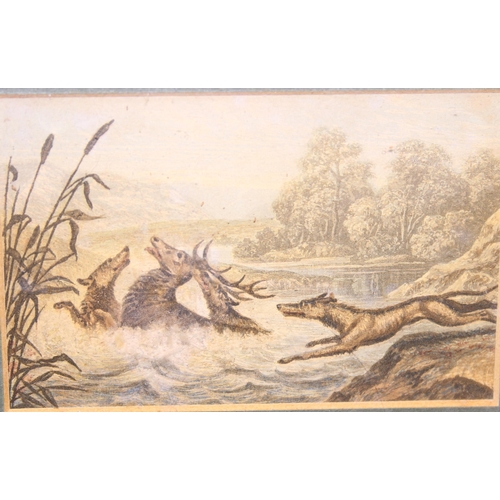 358 - Small antique coloured print of Sight Hounds chasing a Red Deer Stag