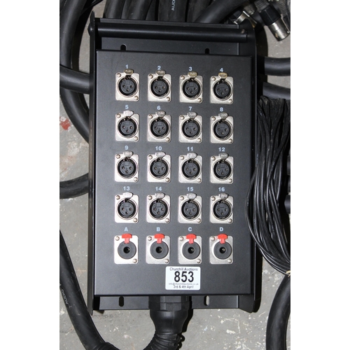 853 - Studiospares Snake 12 XLR + 4Jack approx. 30 meters (not measured)