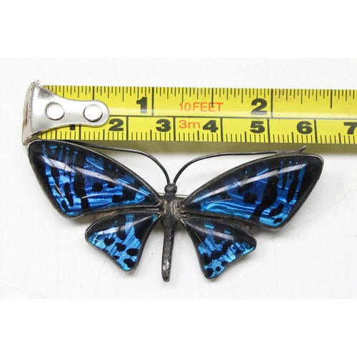 1161 - A vintage silver mounted butterfly brooch, approx 6.5cm wide