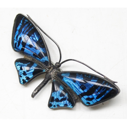 1161 - A vintage silver mounted butterfly brooch, approx 6.5cm wide