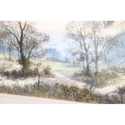 499 - Peter Robinson (XX-XXI), watercolour of woodland entitled 