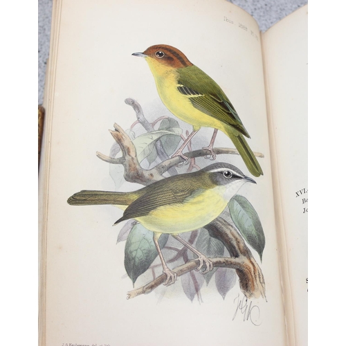 587 - R.B. Sharpe 'Ornithology of Northern Borneo' with notes & dedication by John Whitehead & 10 antique ... 