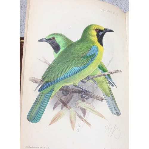 587 - R.B. Sharpe 'Ornithology of Northern Borneo' with notes & dedication by John Whitehead & 10 antique ... 