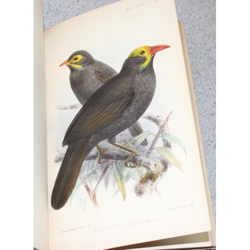 587 - R.B. Sharpe 'Ornithology of Northern Borneo' with notes & dedication by John Whitehead & 10 antique ... 