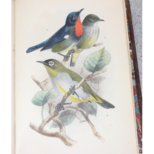 587 - R.B. Sharpe 'Ornithology of Northern Borneo' with notes & dedication by John Whitehead & 10 antique ... 