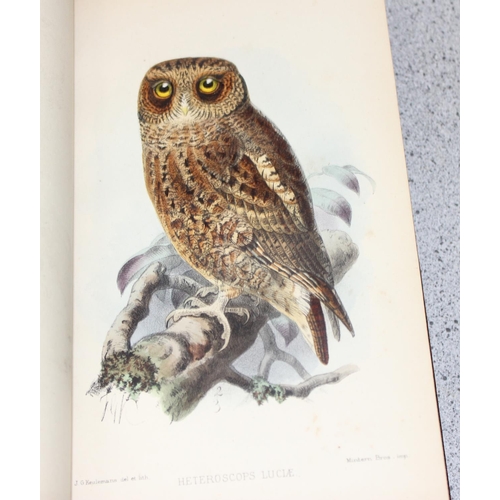 587 - R.B. Sharpe 'Ornithology of Northern Borneo' with notes & dedication by John Whitehead & 10 antique ... 