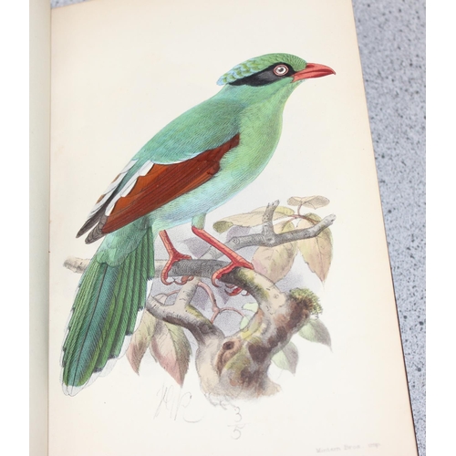 587 - R.B. Sharpe 'Ornithology of Northern Borneo' with notes & dedication by John Whitehead & 10 antique ... 