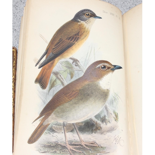 587 - R.B. Sharpe 'Ornithology of Northern Borneo' with notes & dedication by John Whitehead & 10 antique ... 