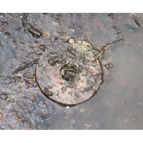 353 - A rusty metal garden fire pit or brazier on metal stand, approx 71cm in diameter