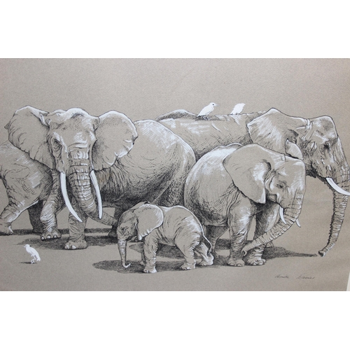 419 - Anita Davies pen and chalk drawing of Elephants and Egrets dated 1982 approx. 73cm x 54cm