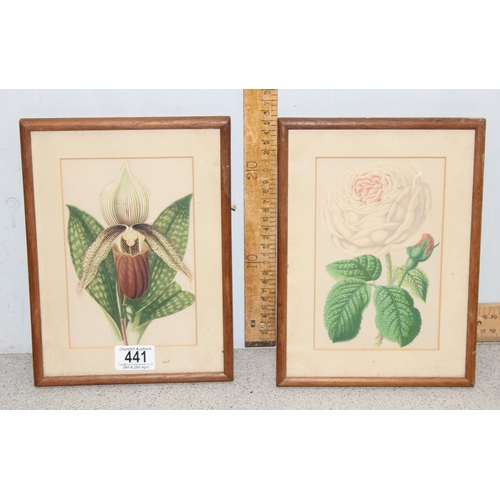 441 - 2 19th century hand coloured prints of botanical studies, Orchid and Rose