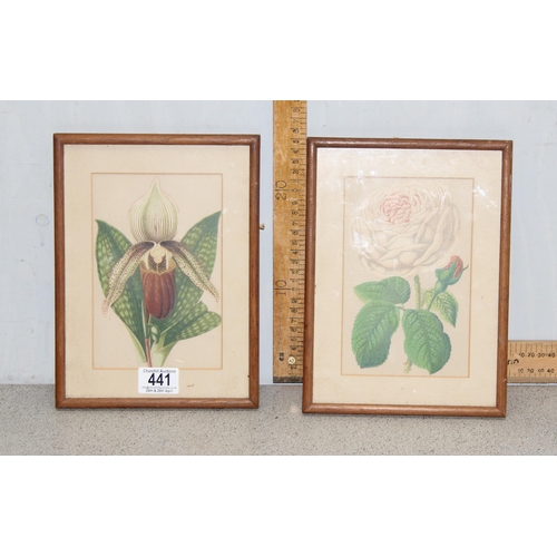 441 - 2 19th century hand coloured prints of botanical studies, Orchid and Rose