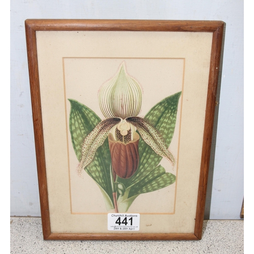 441 - 2 19th century hand coloured prints of botanical studies, Orchid and Rose