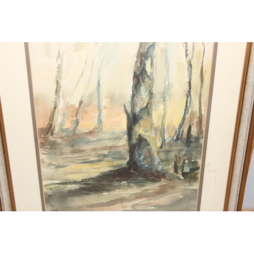 466 - A vintage framed watercolour of trees, signed LCP lower left, approx 67cm x 48cm, with interesting g... 