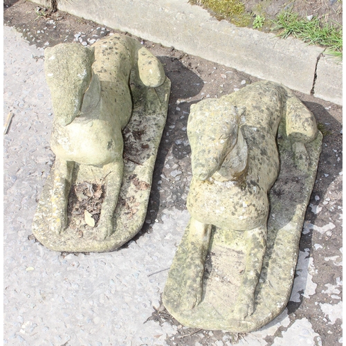 300 - A large pair of weathered concrete garden greyhound figures, approx 76cm wide