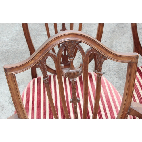 31 - A set of 8 19th century shield backed mahogany dining chairs (2 carver & 6 dining), with patterned r... 