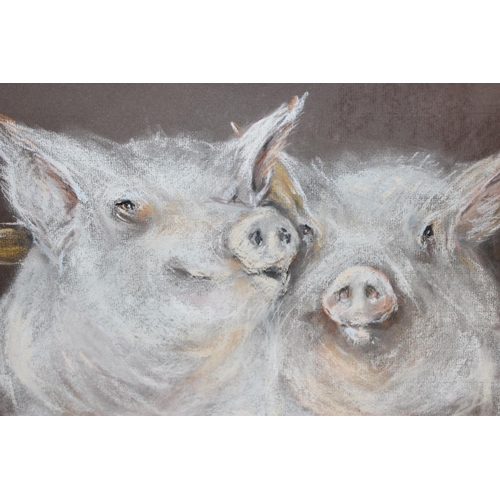 497 - Pat Newton (XX), pastel portrait of 2 happy pigs, framed and glazed, approx 62cm x 49cm