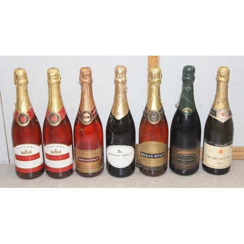 1613A - 7 bottles of vintage sparkling wine